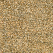 Flora 2_217  Kvadrat
